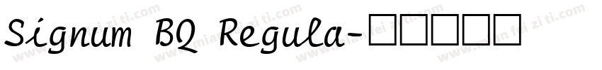 Signum BQ Regula字体转换